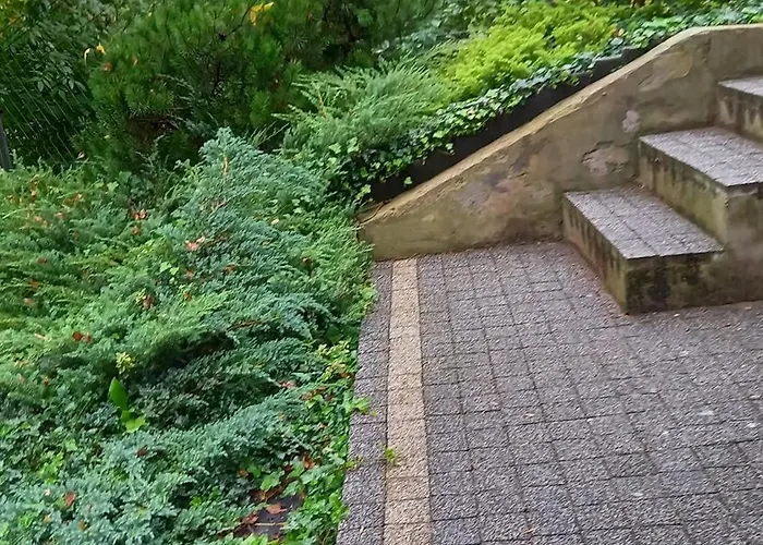 Kora * 소스노비크